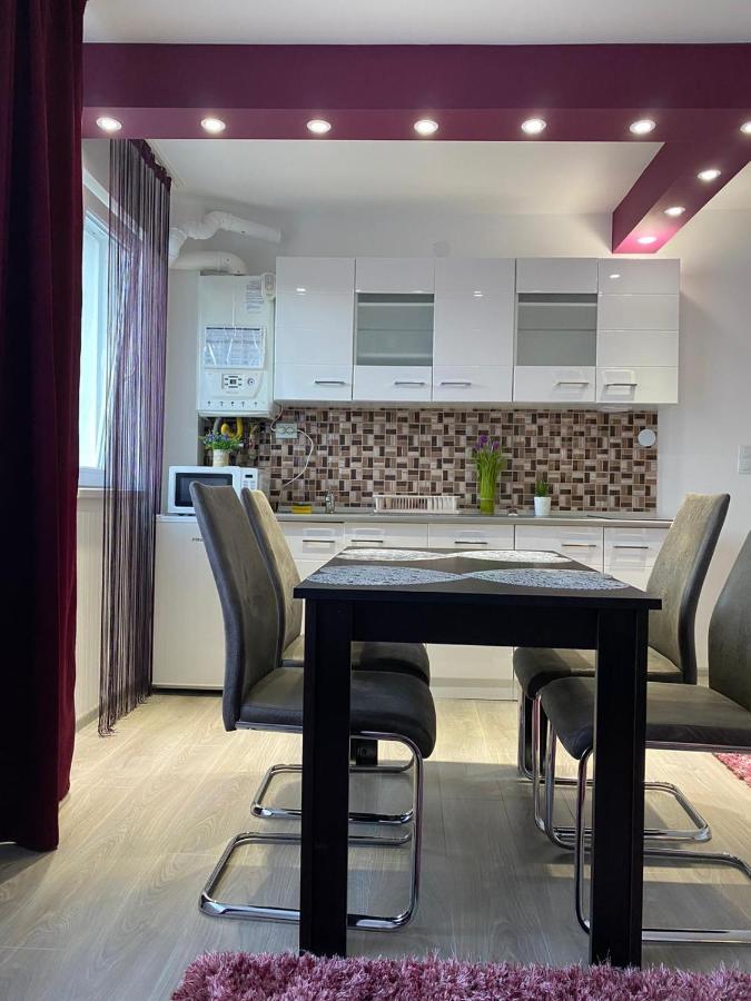 12 Residence Apartment Cavnic Exterior photo